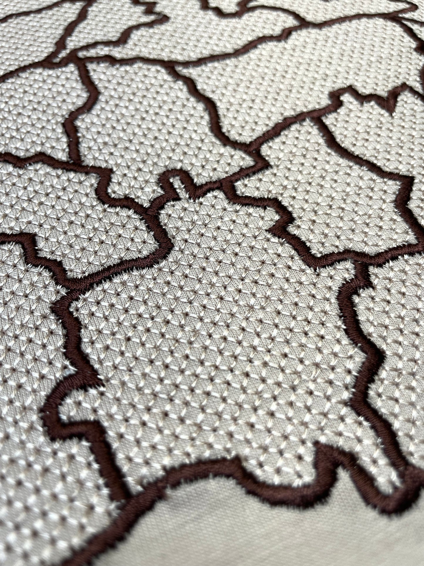 Punjab Map with Districts Embroidery Tshirt